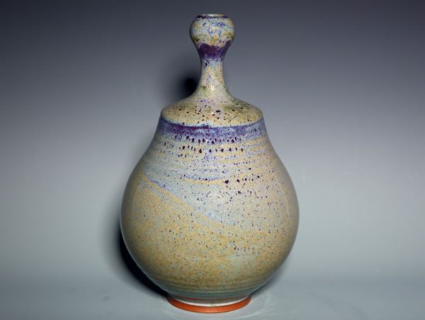 手拉胚納財(cái)瓶